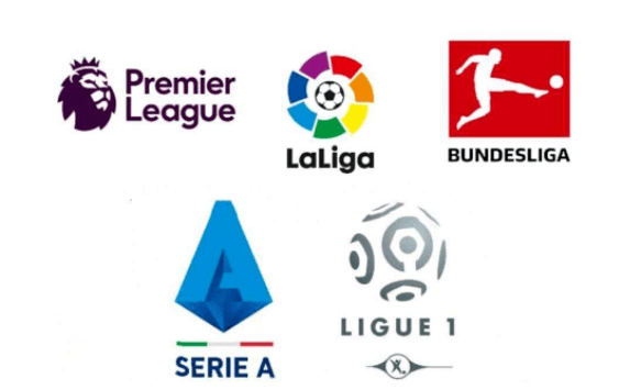 的佼佼者 的佼佼者